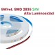 Tira LED 5mts Flexible 24V 25W 300 Led SMD 2835 IP20 Alta Luminosidad